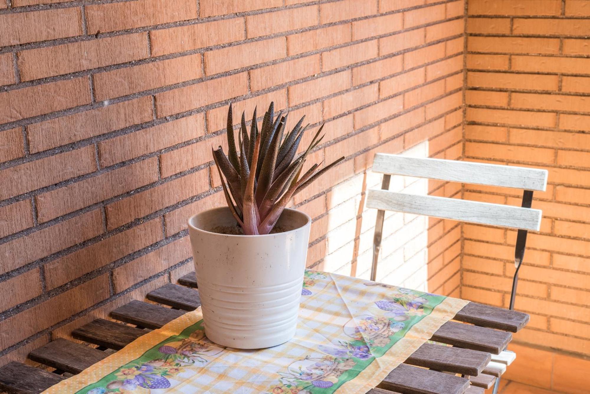 Travelershome Ciampino Suite Kültér fotó